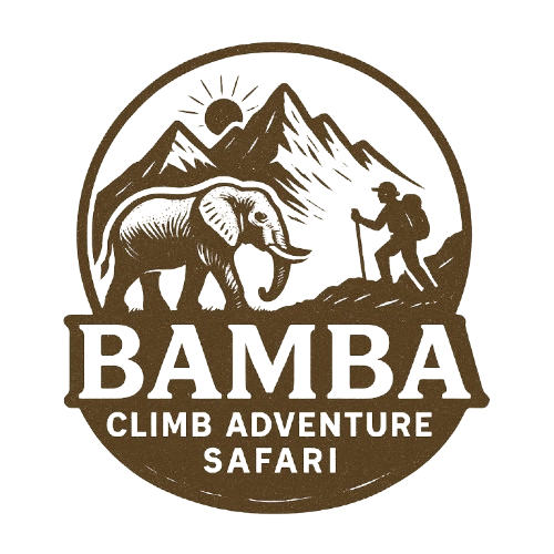 Bamba Adventures